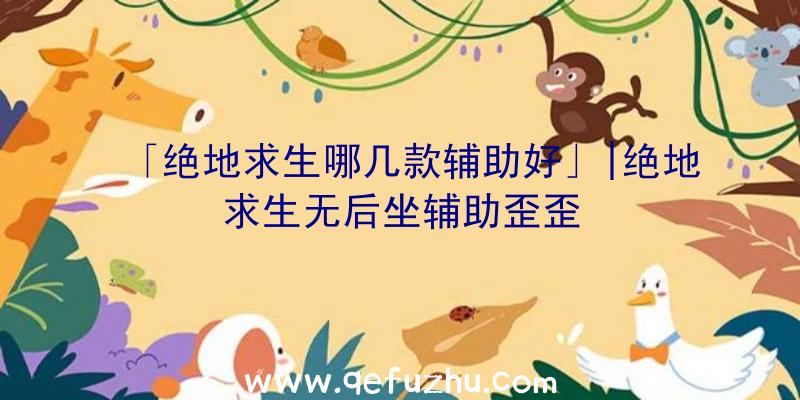 「绝地求生哪几款辅助好」|绝地求生无后坐辅助歪歪